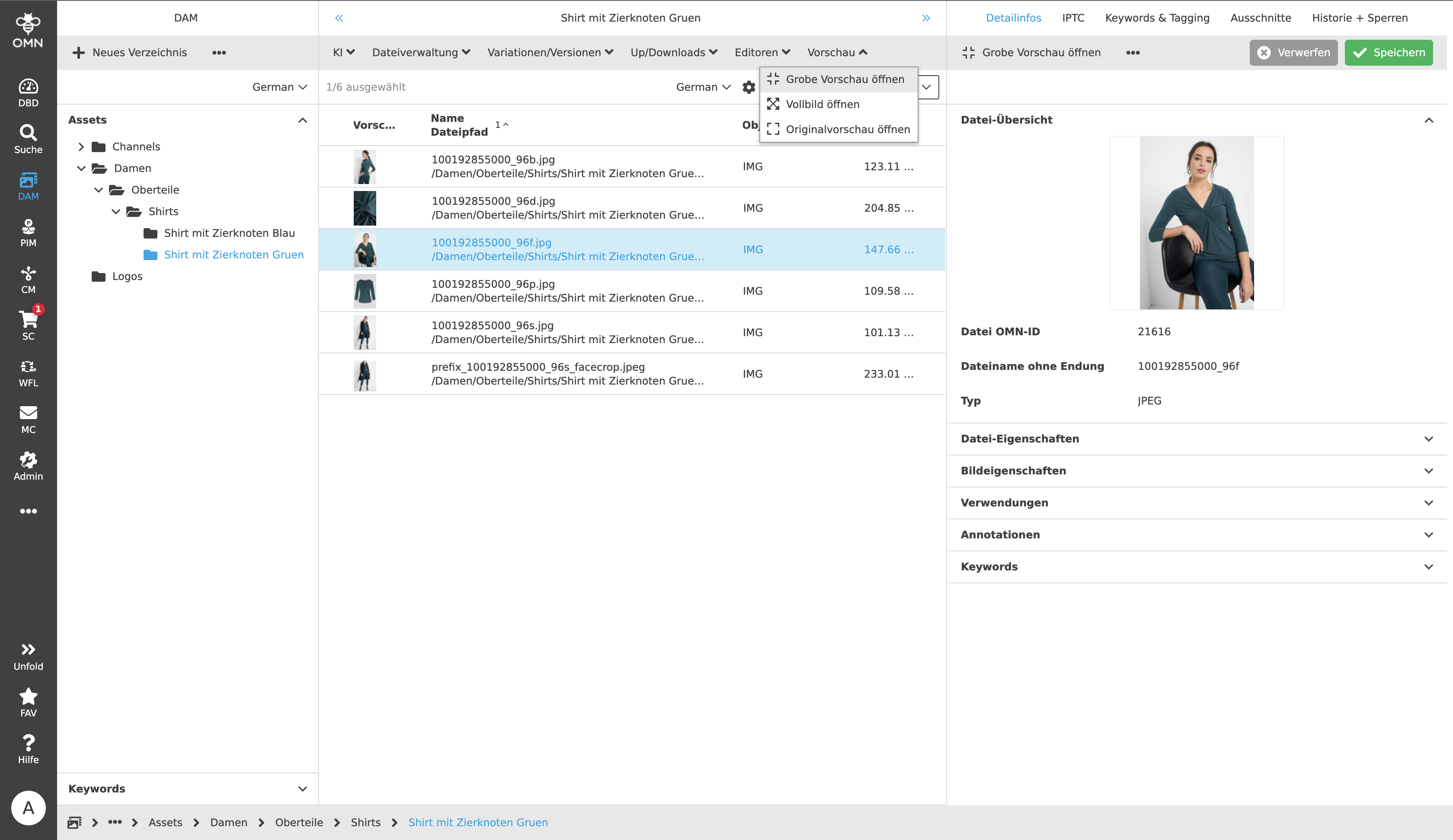MainModule DAM Toolbar Preview