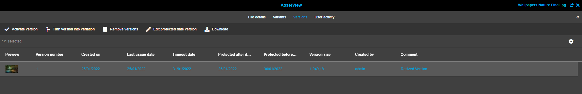 versioning assetView