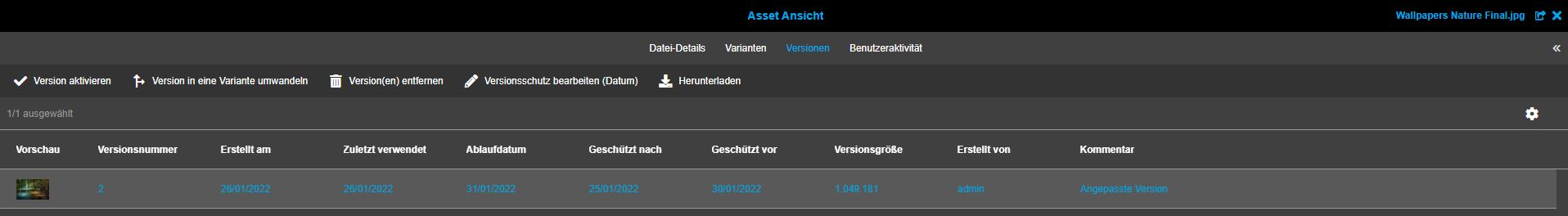 versioning assetView de