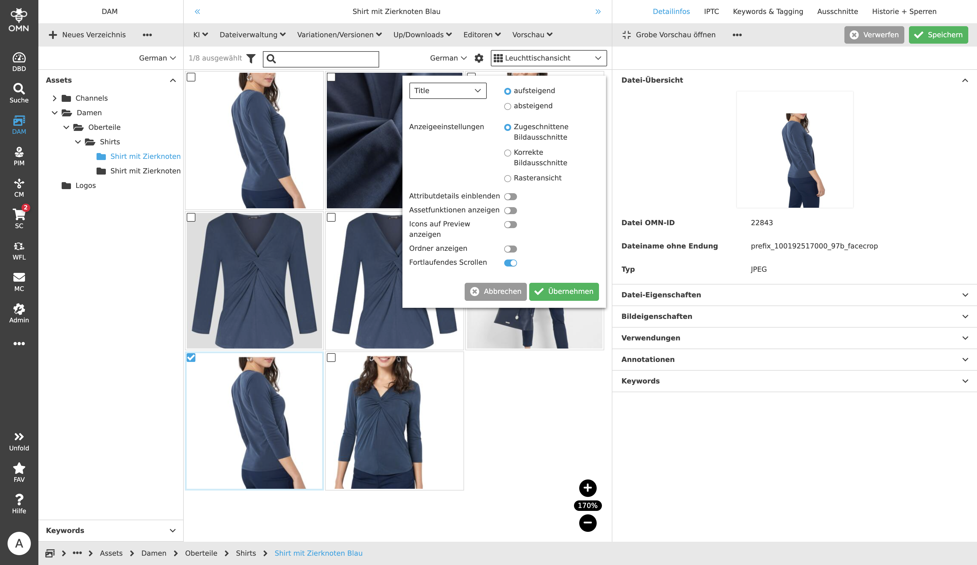 DAM LightView Settings 04