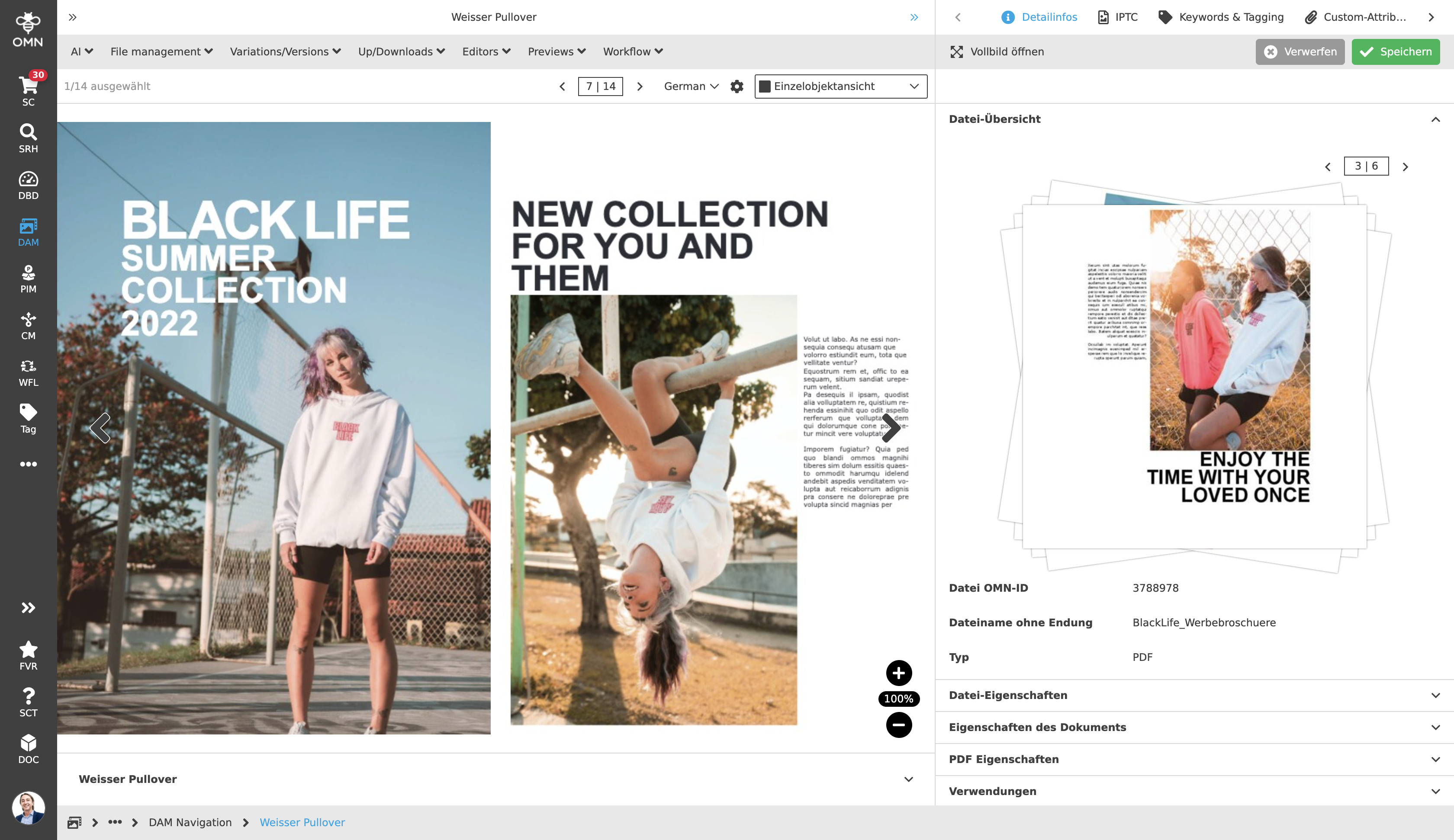 DAM SingleObject PDF