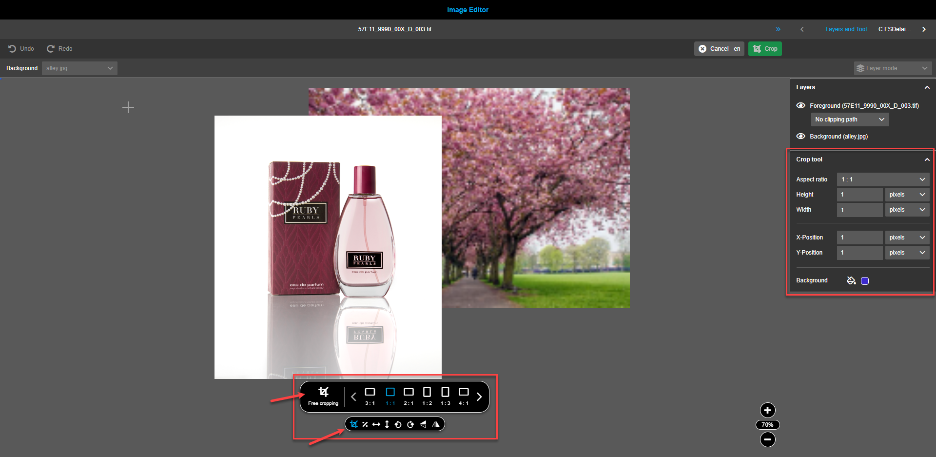 Image editor central view canvas crop-1