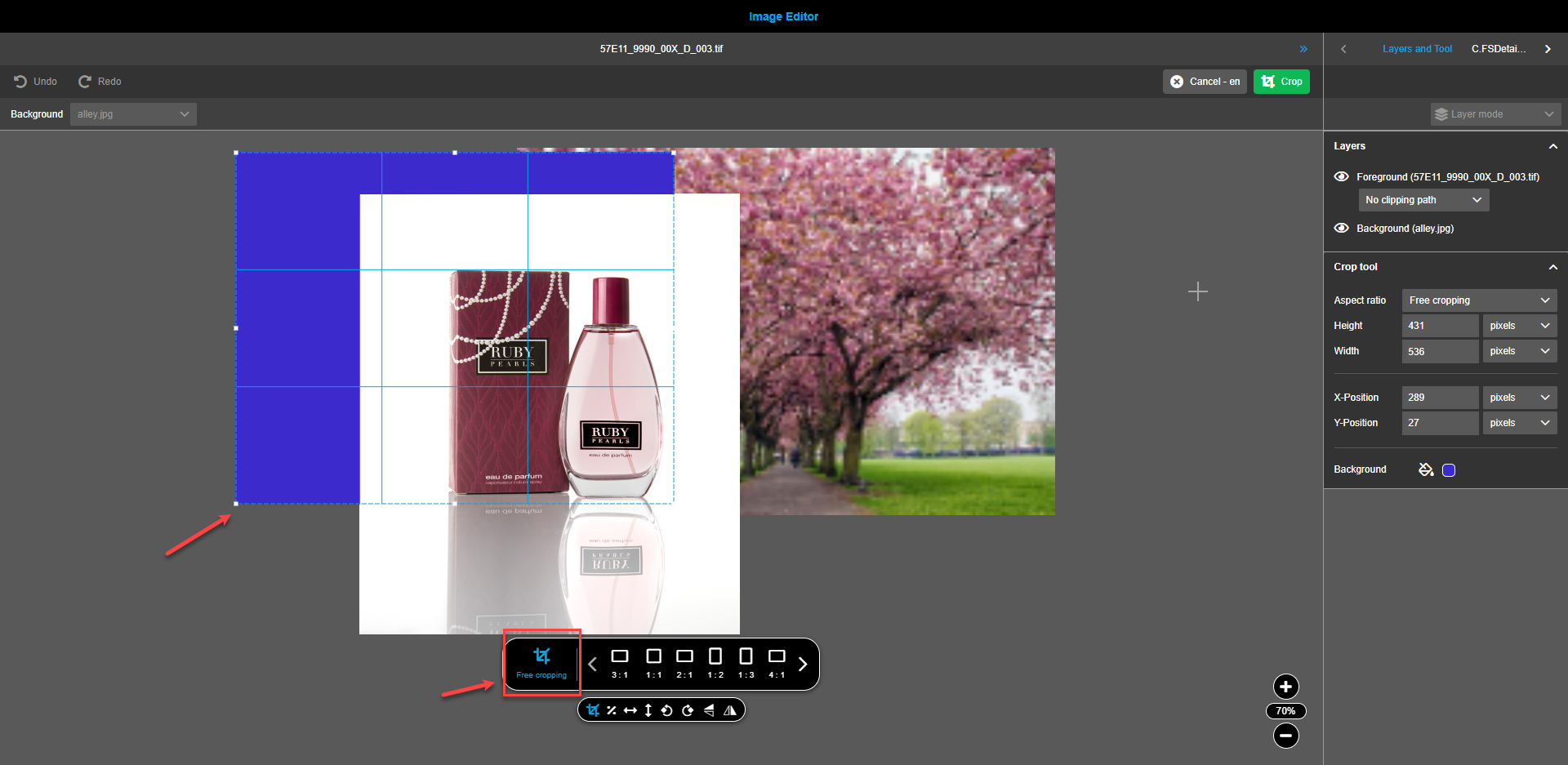 Image editor central view canvas crop-2