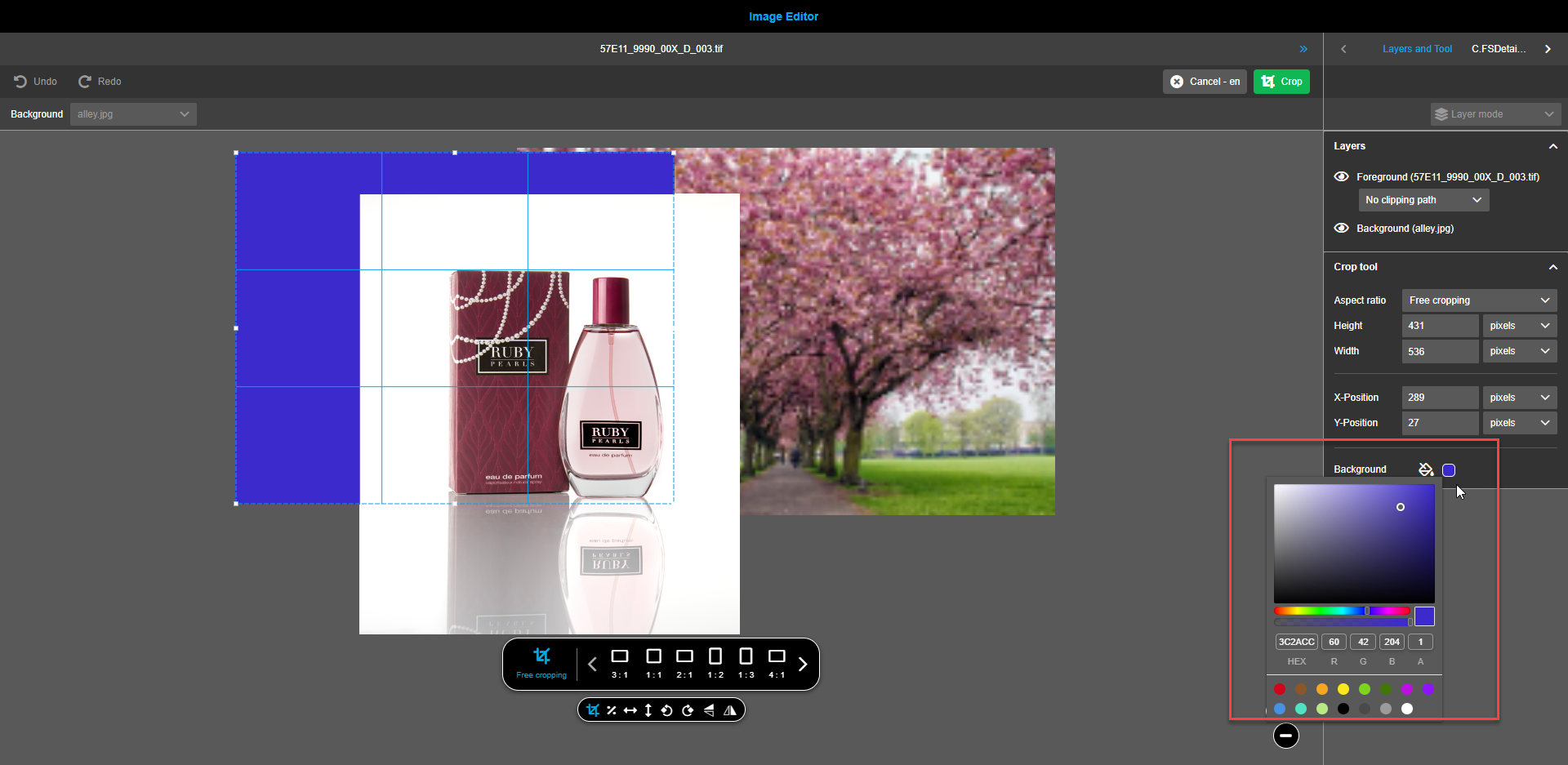 Image editor central view canvas crop-3