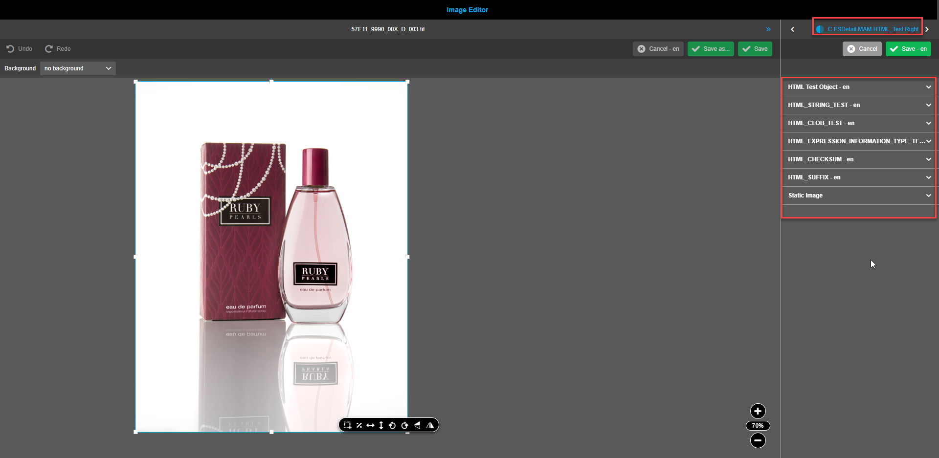 Image editor right view canvas for FSDetails