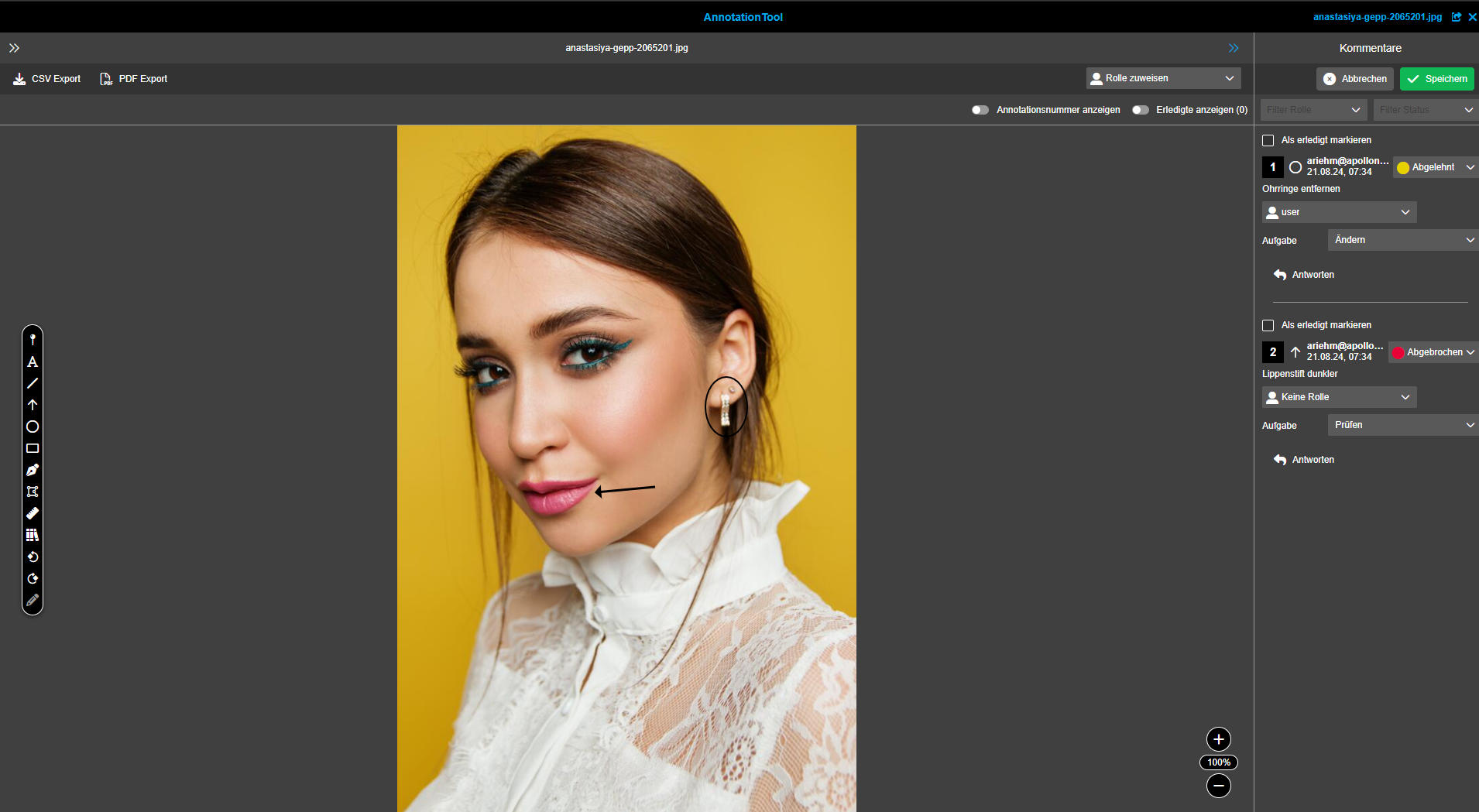User Guide DAM annotationTool
