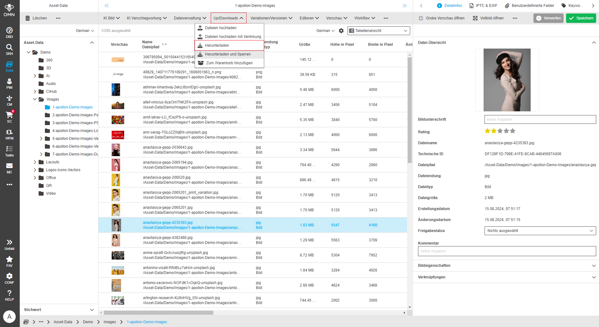 User Guide DAM directDownload