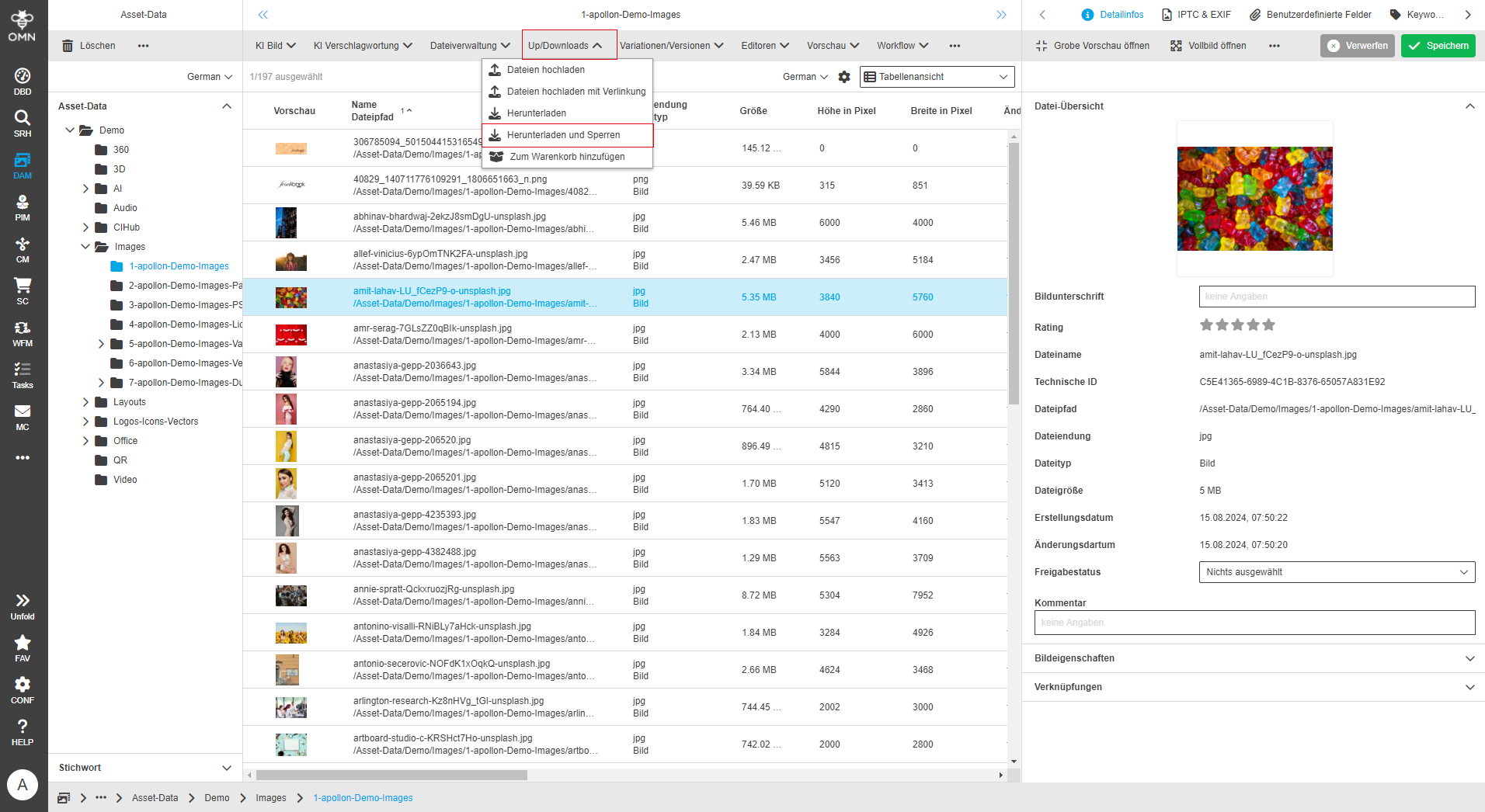 User Guide DAM directDownloadLock