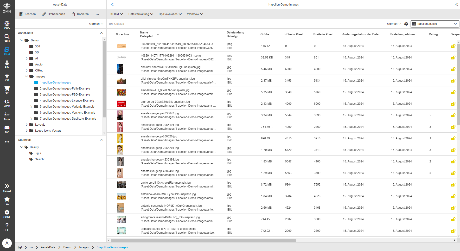 User Guide DAM filesystemStructure