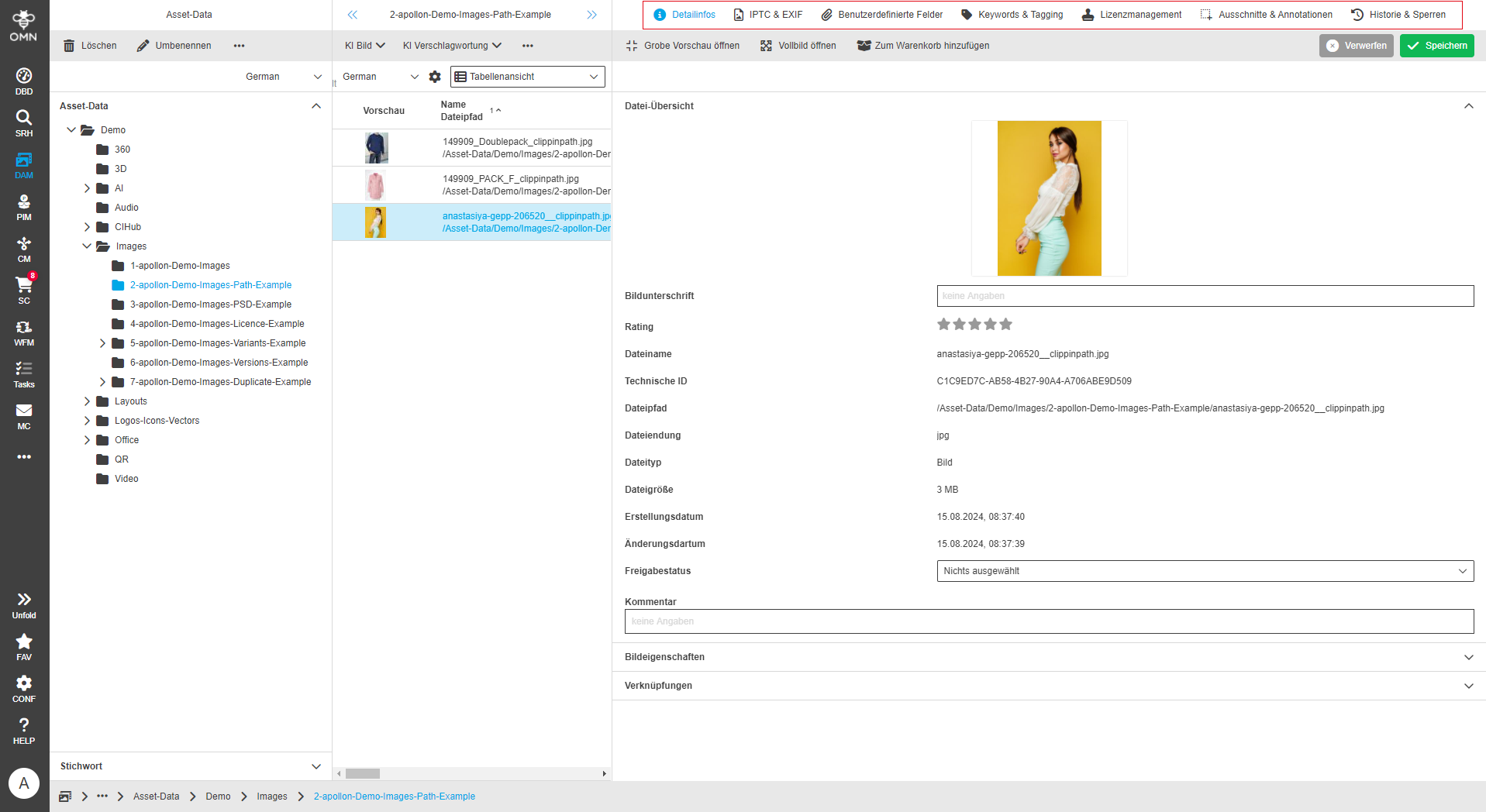 User Guide DAM fsDetailAll