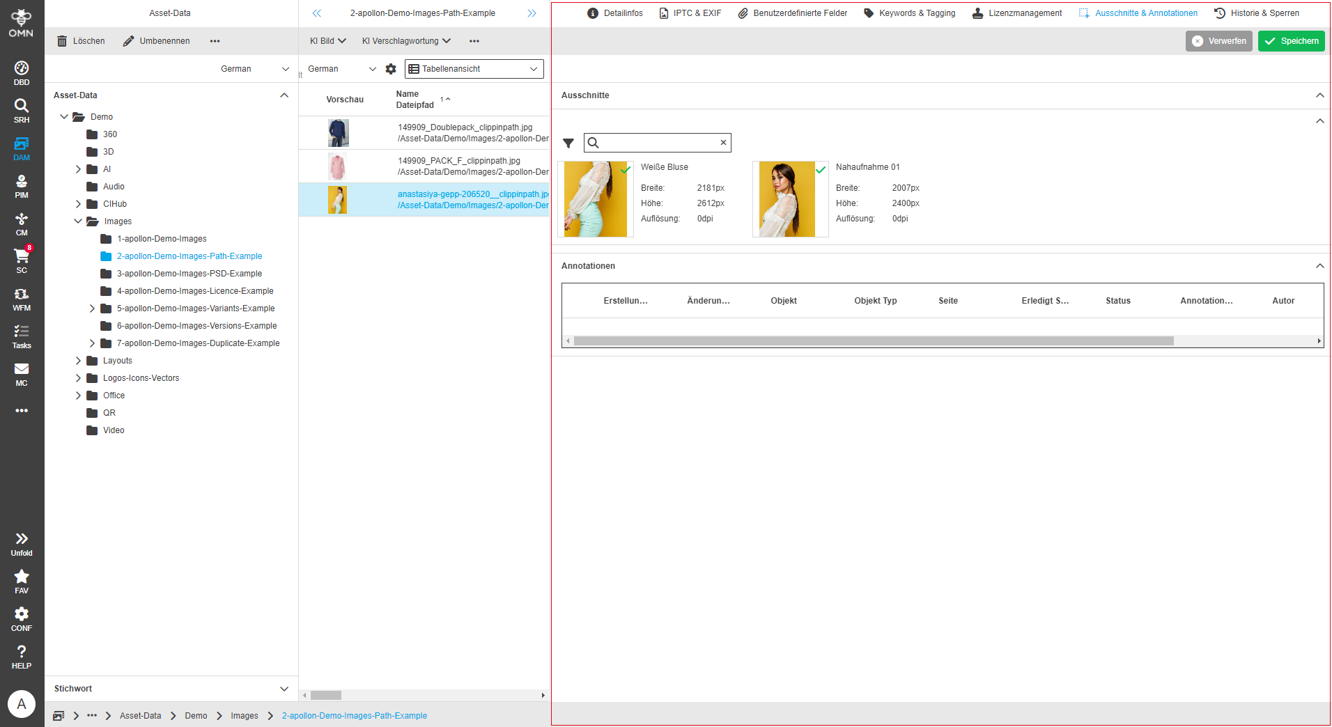 User Guide DAM fsDetailAperture