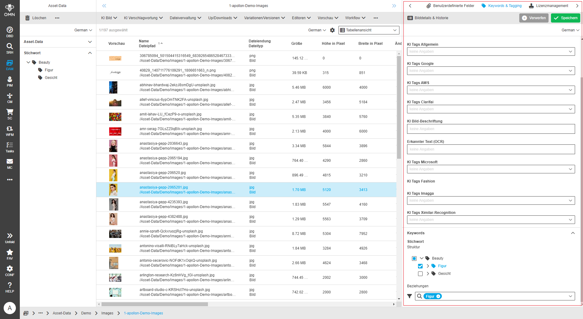 User Guide DAM fsDetailKeywords