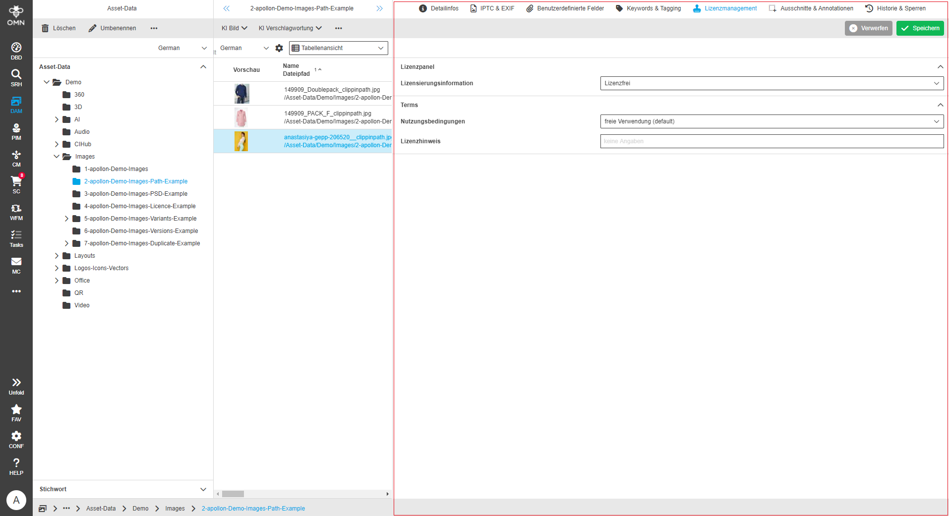 User Guide DAM fsDetailLicense