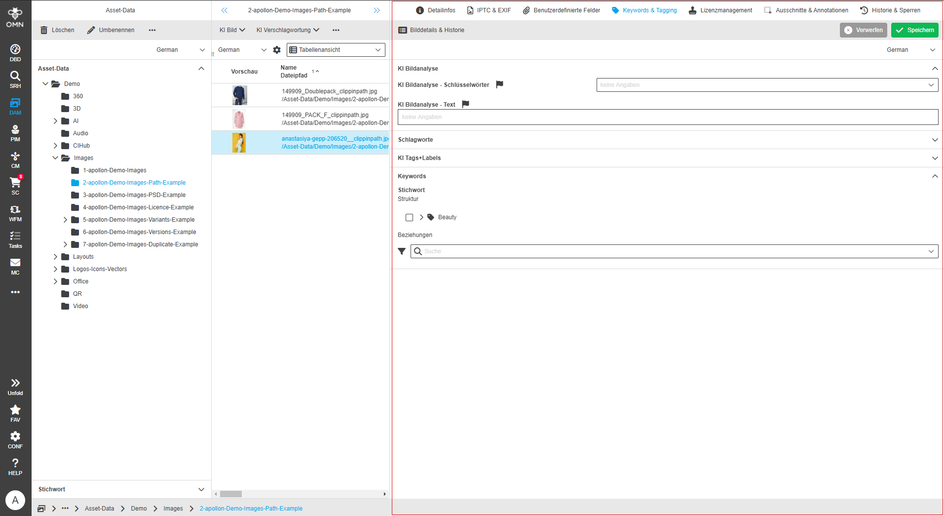 User Guide DAM fsDetailTagging