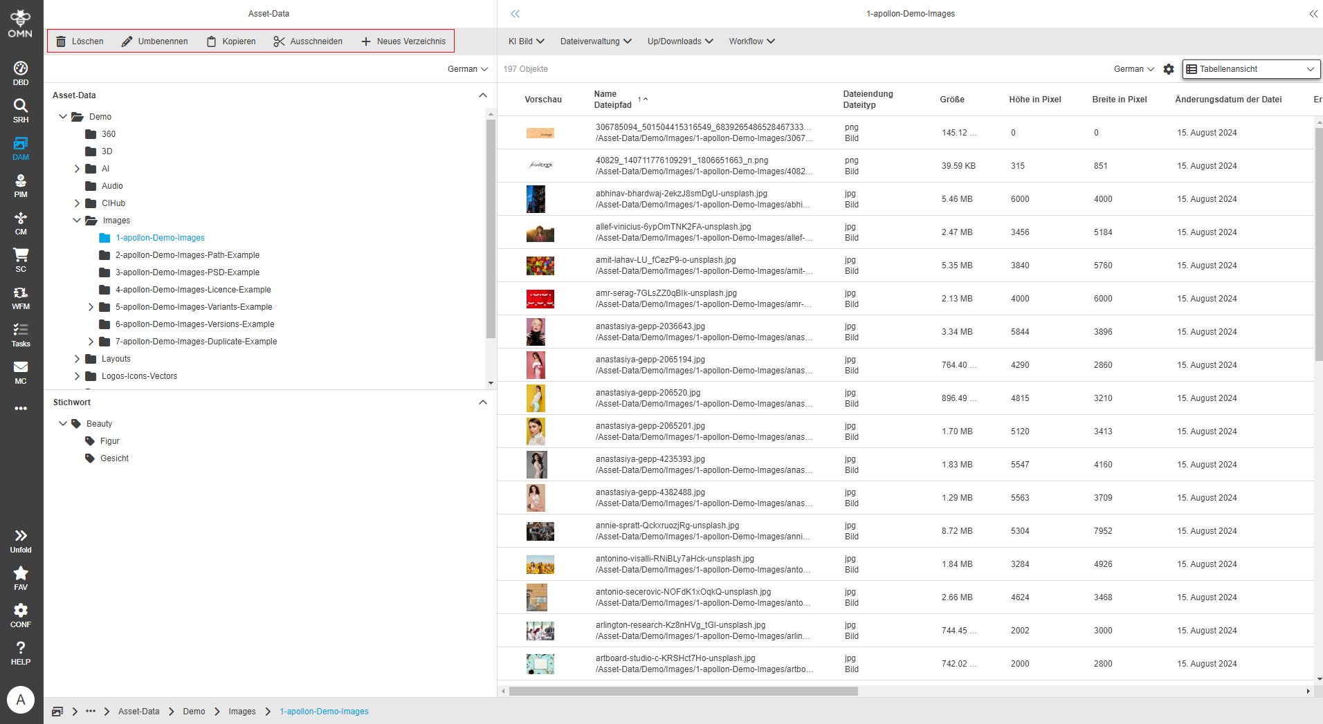 User Guide DAM functions