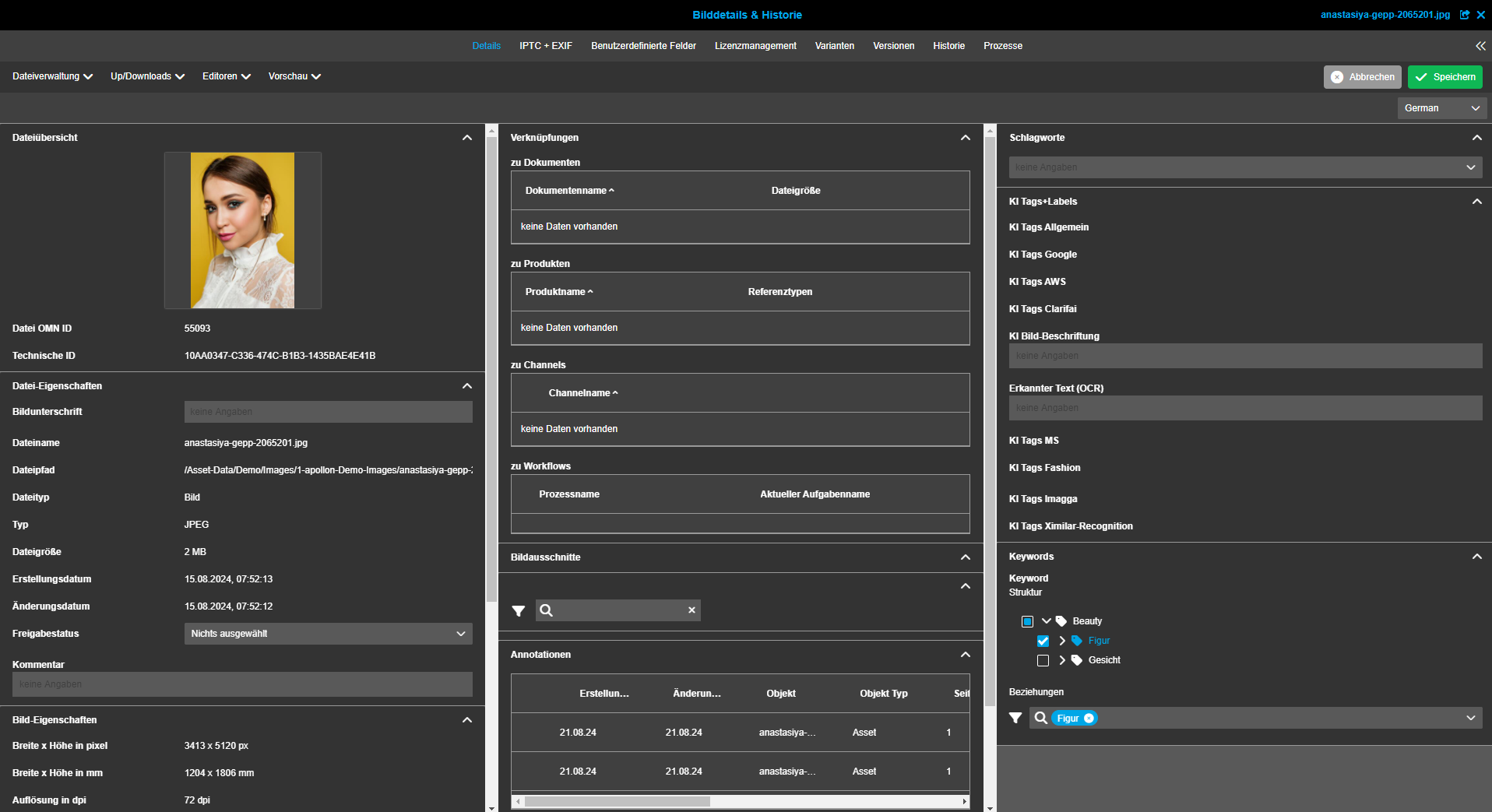 User Guide DAM historie