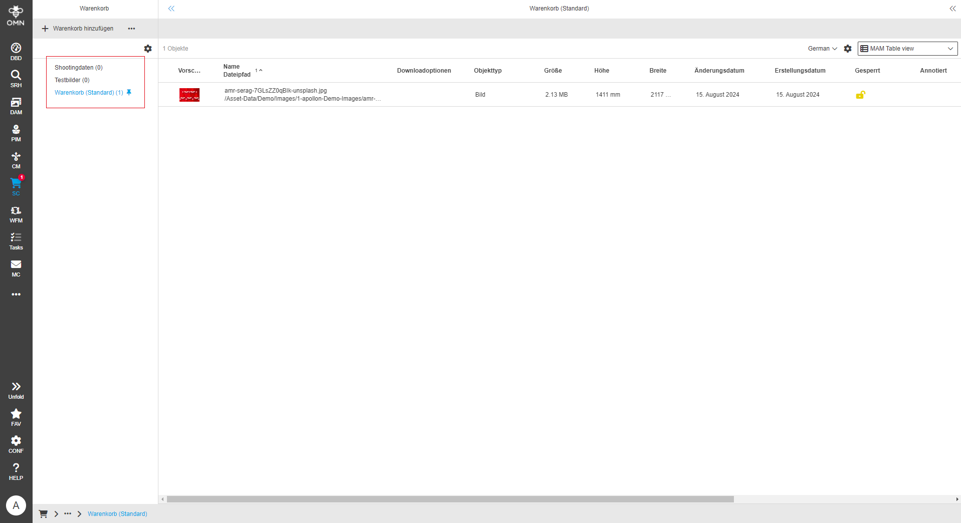 User Guide DAM shoppingCard