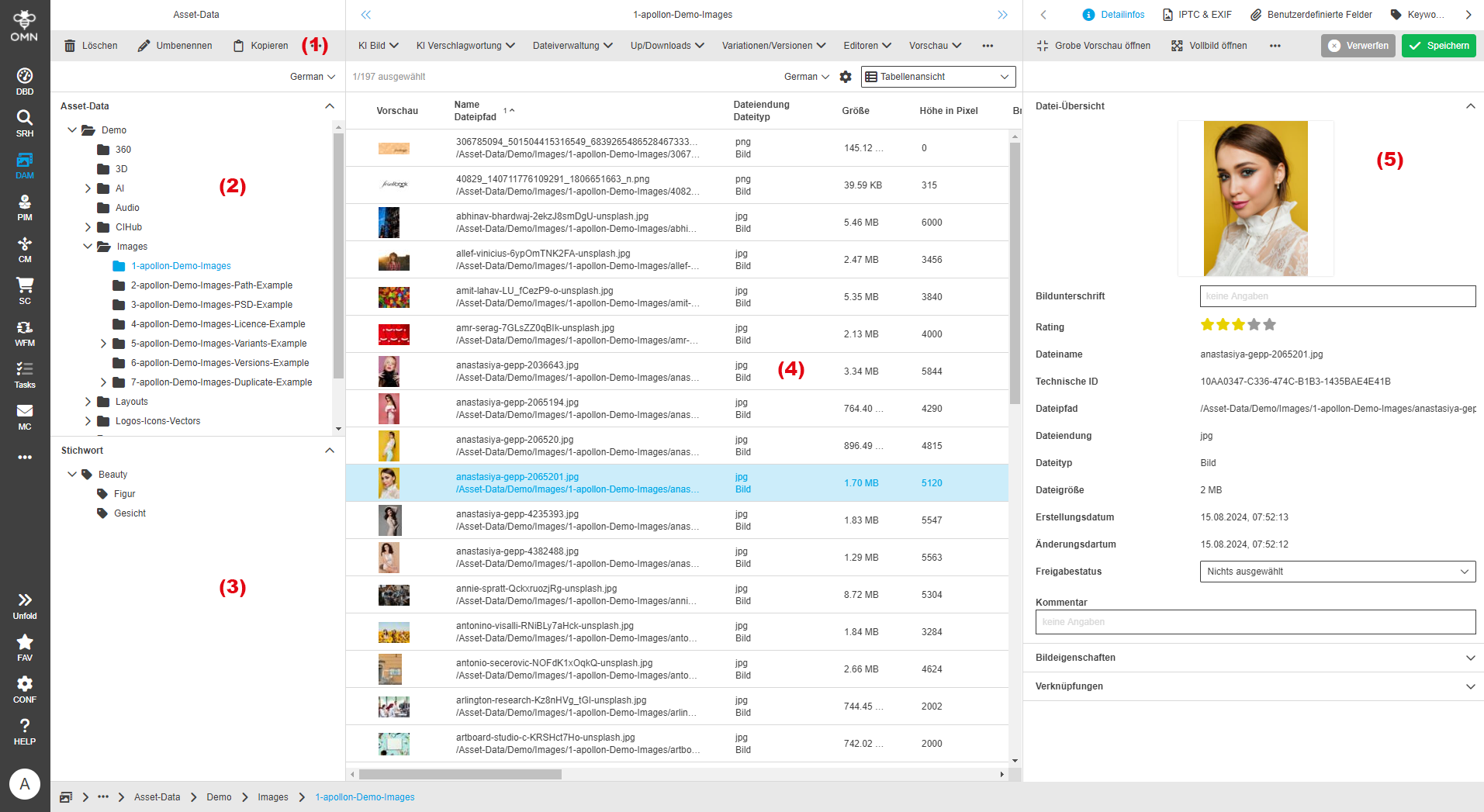 User Guide DAM structureInterface