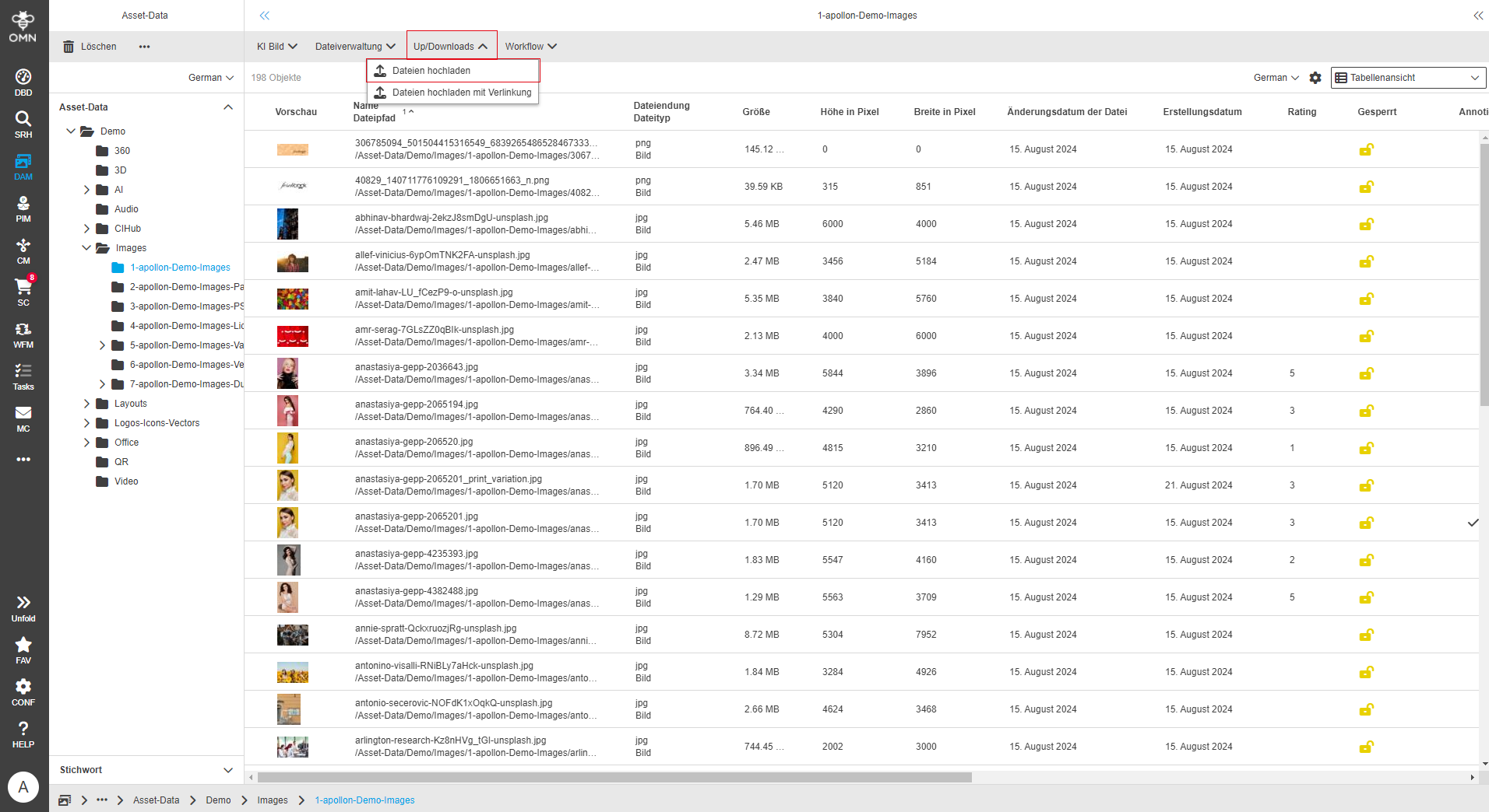 User Guide DAM upload