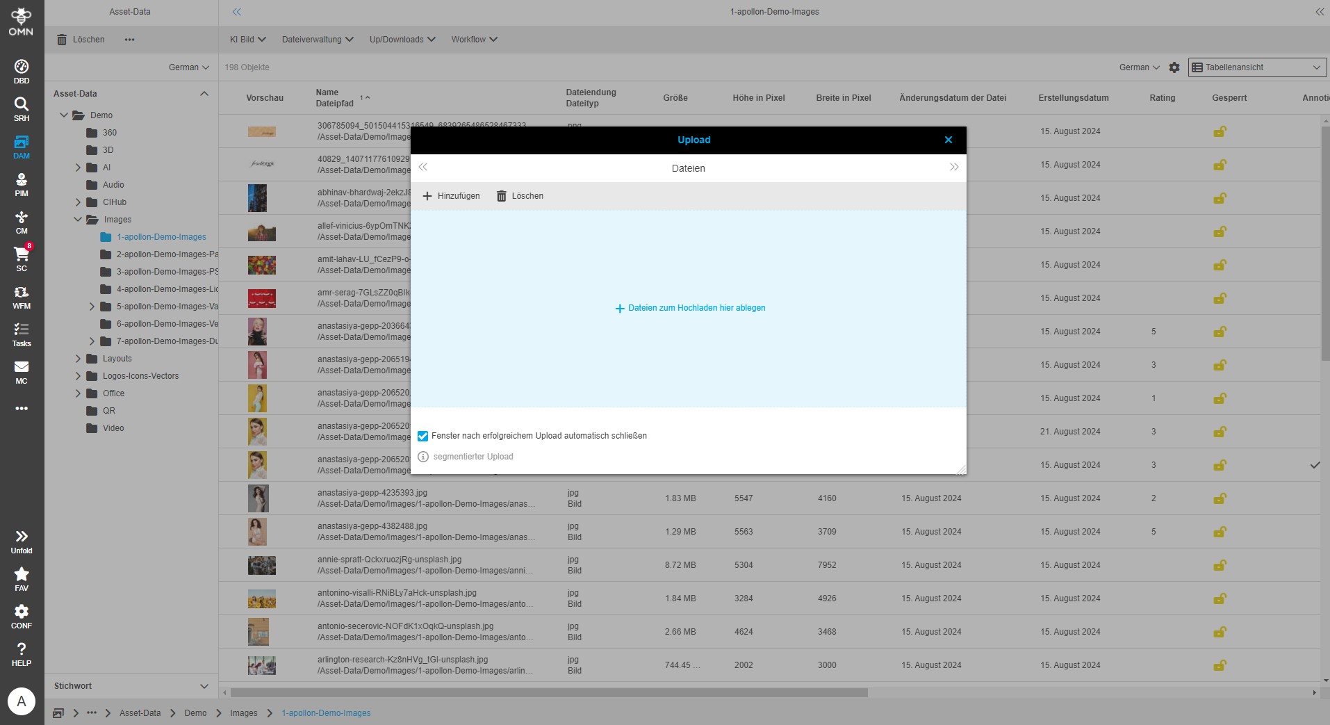 User Guide DAM uploadDialog