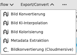 User Guide OMN overview export convert function