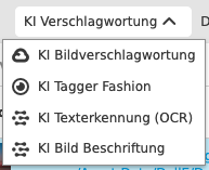 User Guide overview OMN AI tagging function group