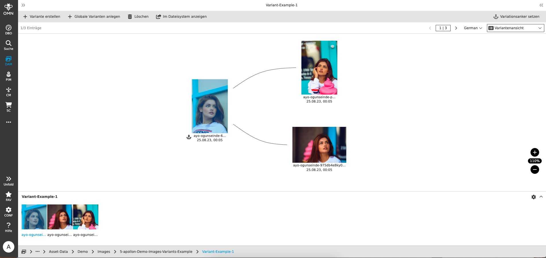 User Guide overview OMN VariantView