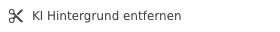 User Guide KI Service remove bg