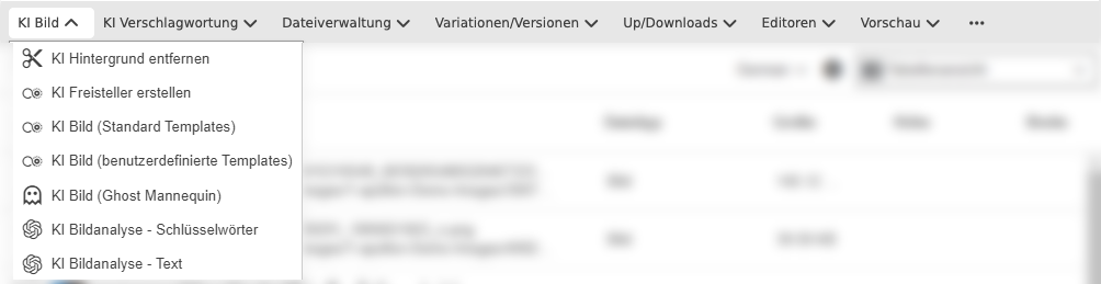 User Guide KI Service toolbar ai image services