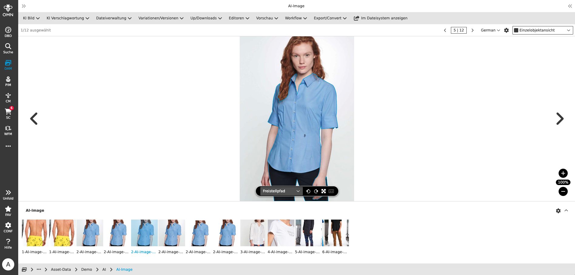 User Guide KI Service clipping path result singleobject