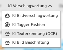 User Guide KI Services OCR function