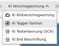 User Guide KI Services Tagger Fashion function