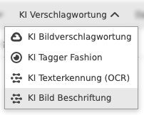 User Guide KI Services image tagging caption function
