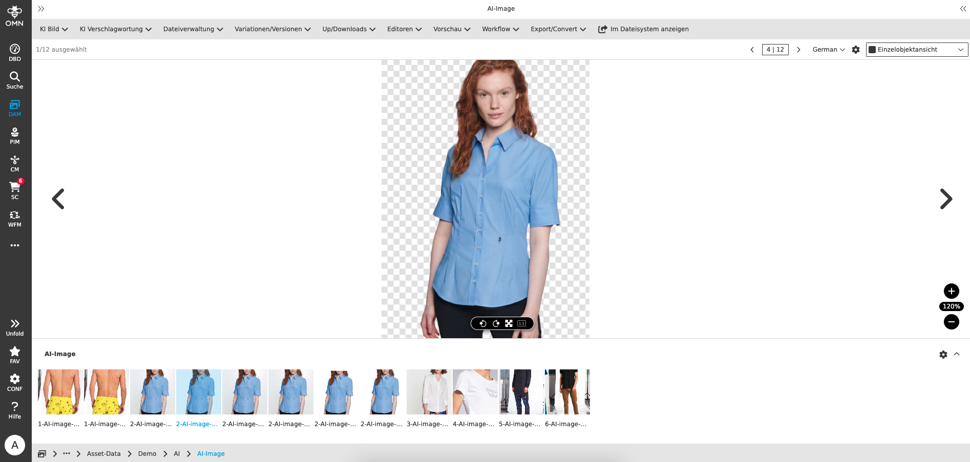 User Guide KI Services remove bg single object