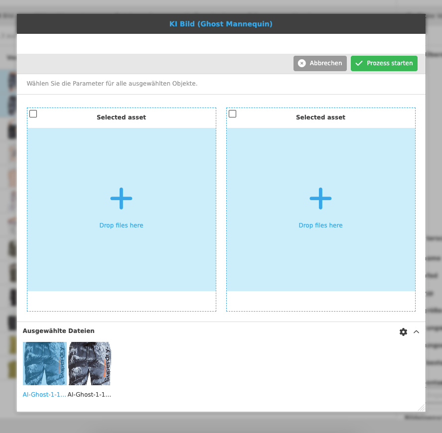 User Guide KI Services Ghost modal