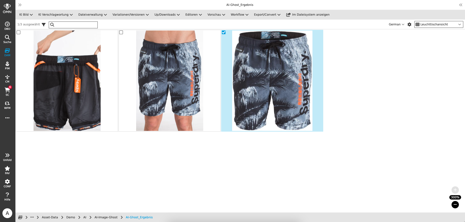User Guide KI Services Ghost result