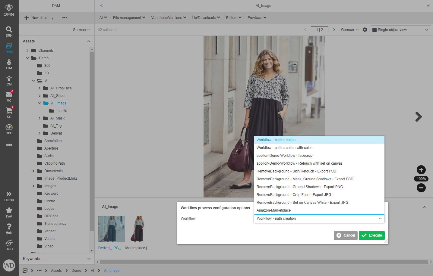 AI workflow execution