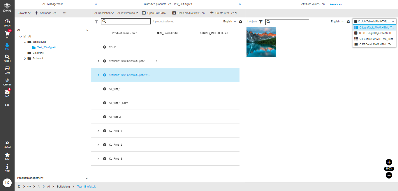 ClassificationView assets configuration frontend