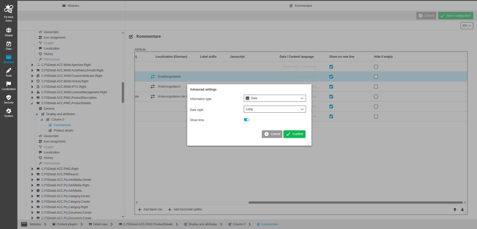 DetailView CC display and attributes date configuration