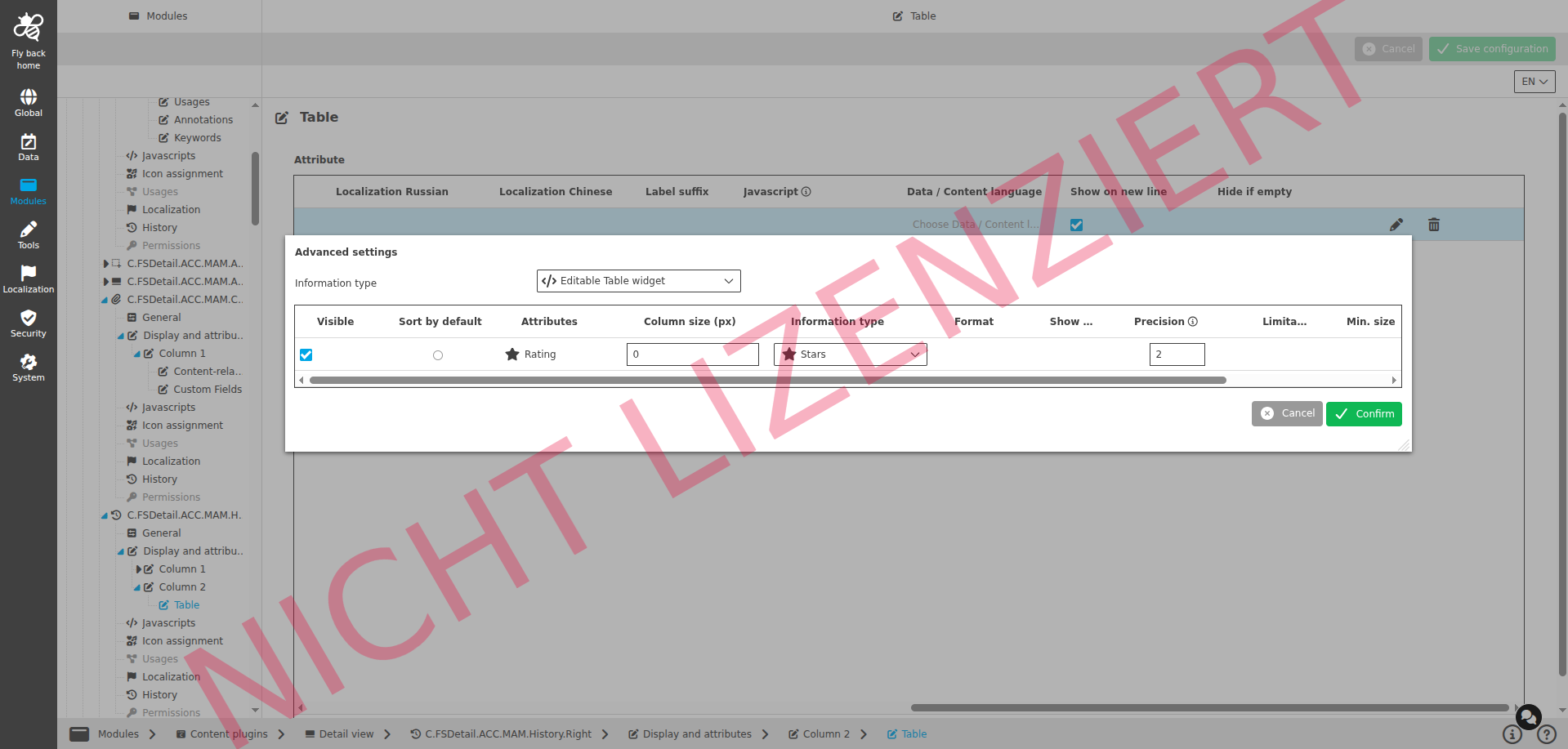 DetailView CC display and attributes editable table widget configuration