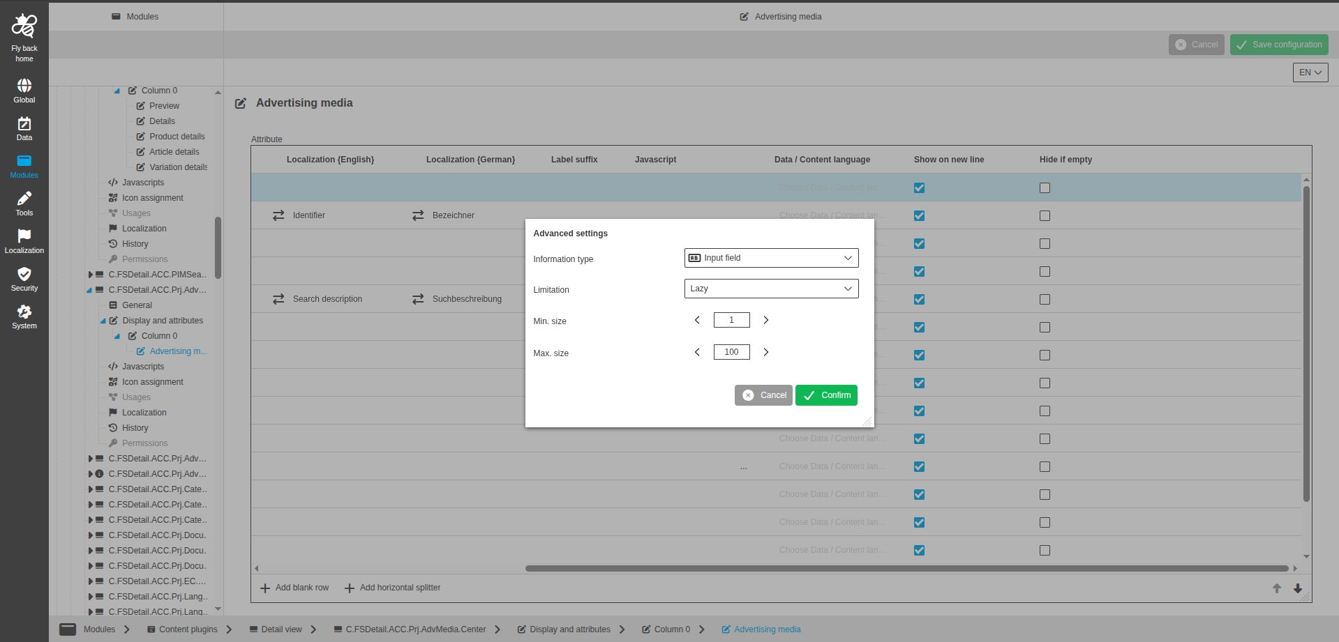 DetailView CC display and attributes input field configuration