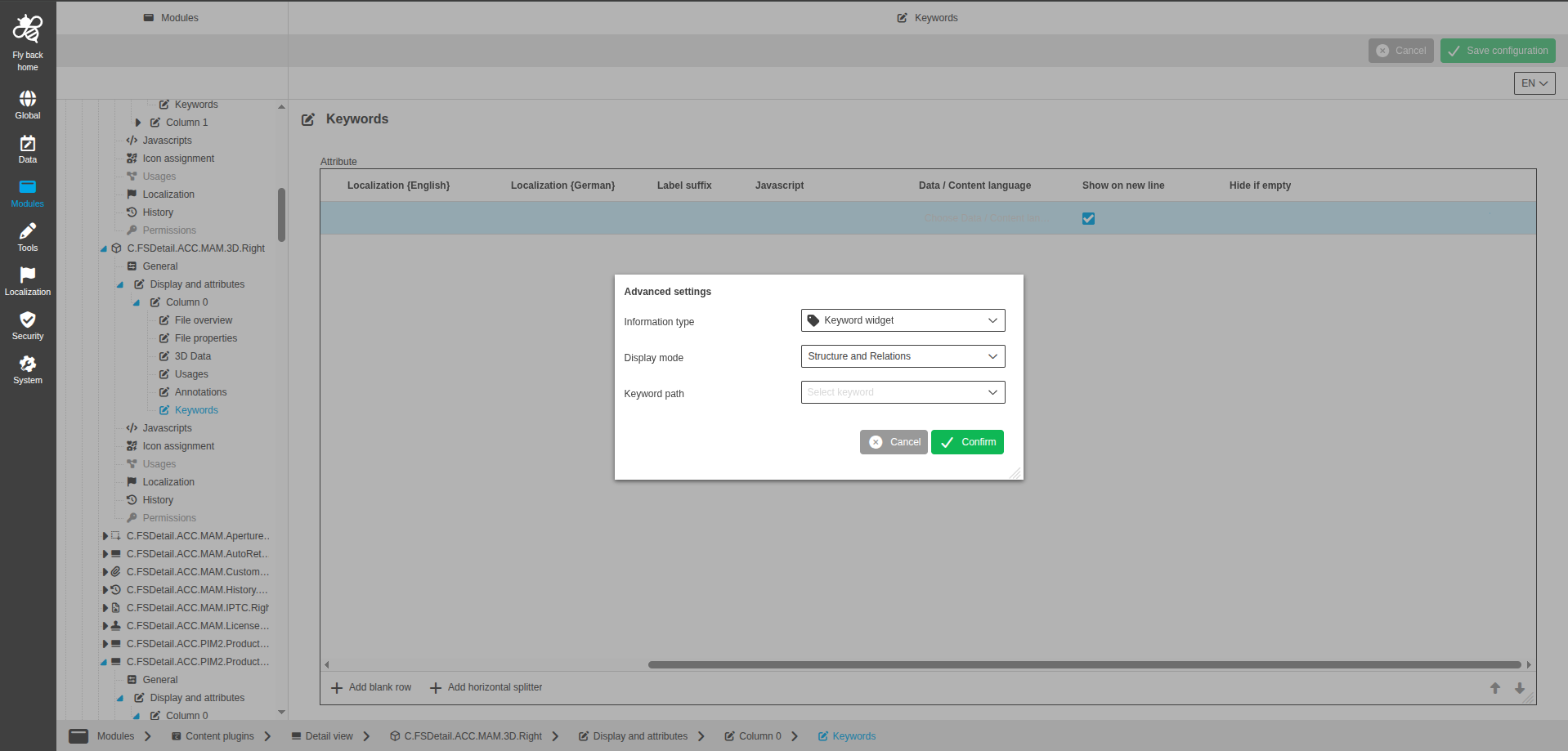 DetailView CC display and attributes keywords widget configuration