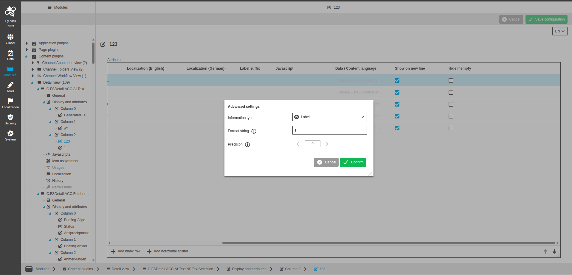 DetailView CC display and attributes label configuration