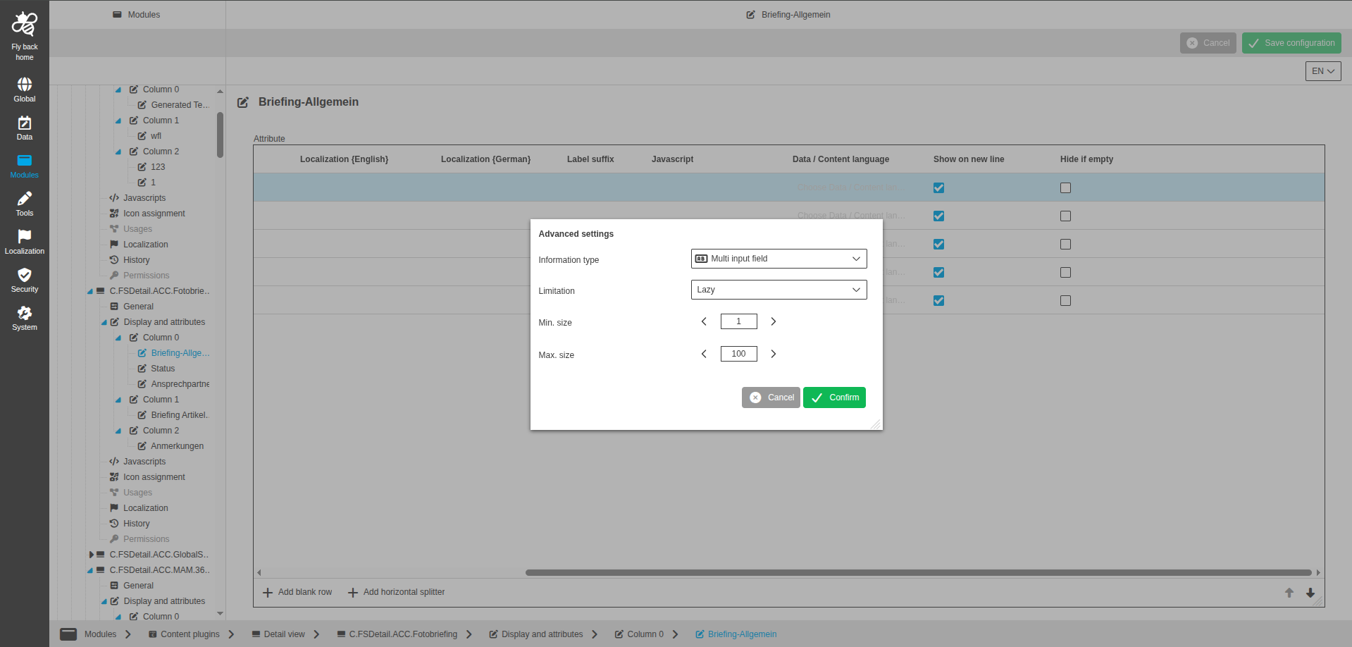 DetailView CC display and attributes multi input field configuration