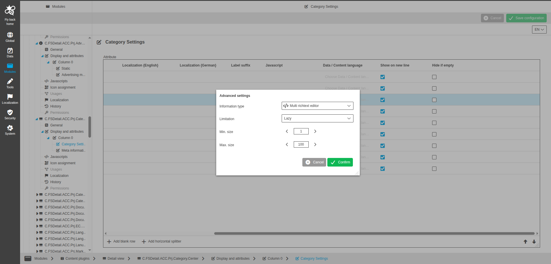 DetailView CC display and attributes multi richtext editor configuration