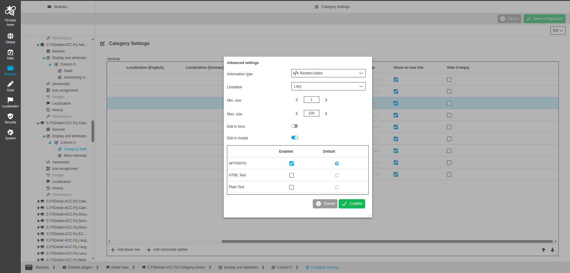 DetailView CC display and attributes richtext editor configuration