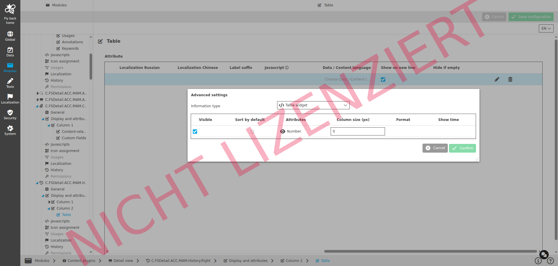 DetailView CC display and attributes table widget configuration