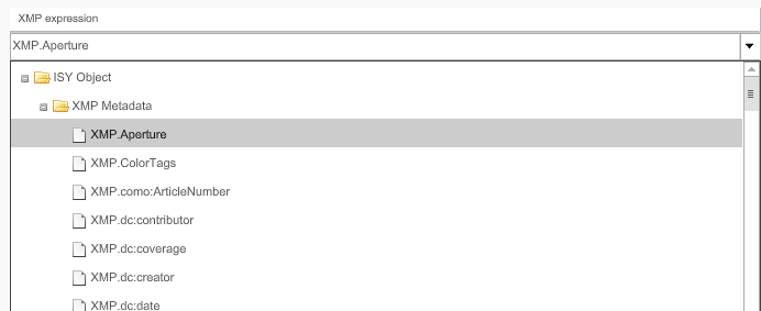Download overview XMP expressions