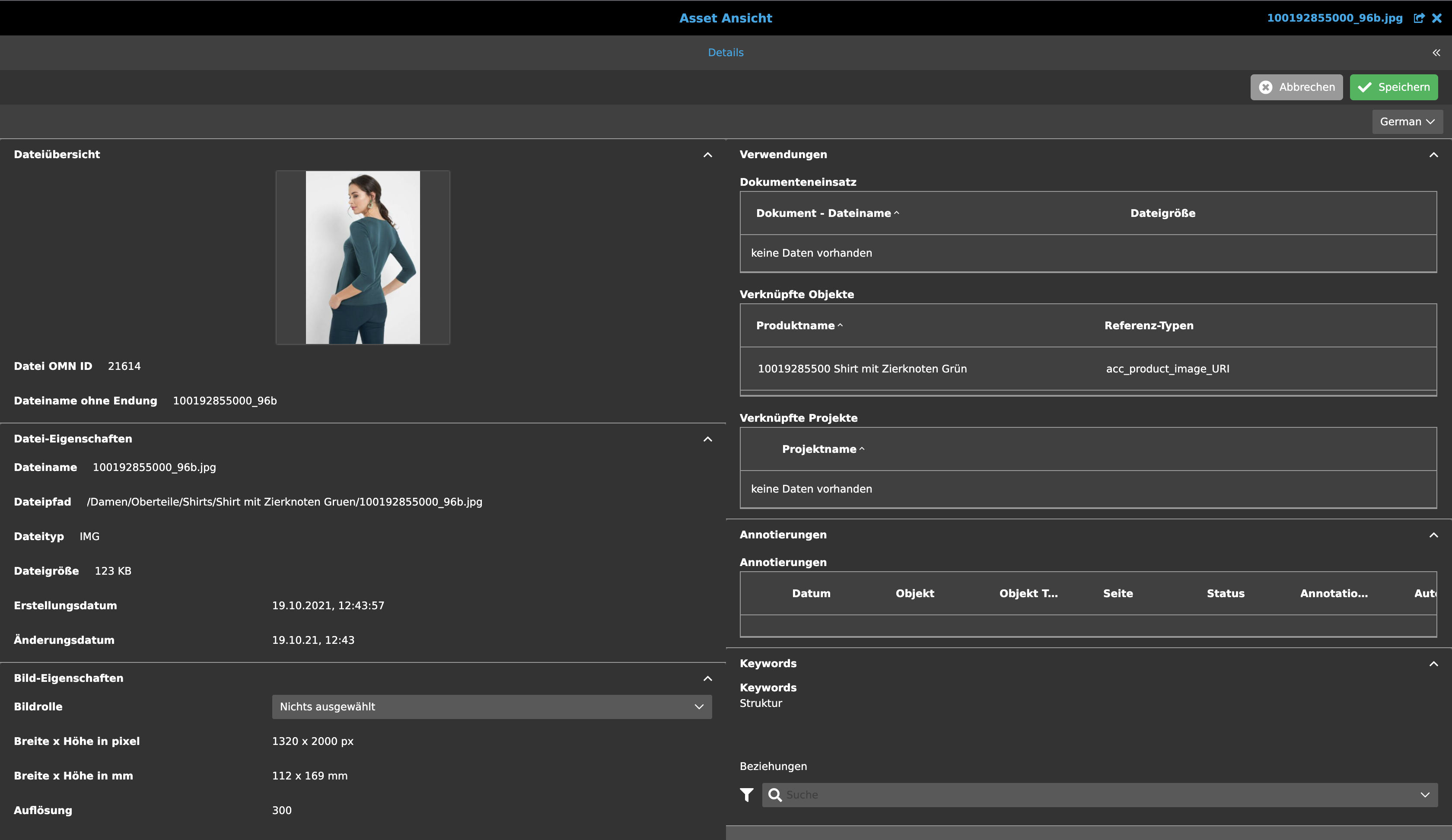 MainModule DAM AssetView