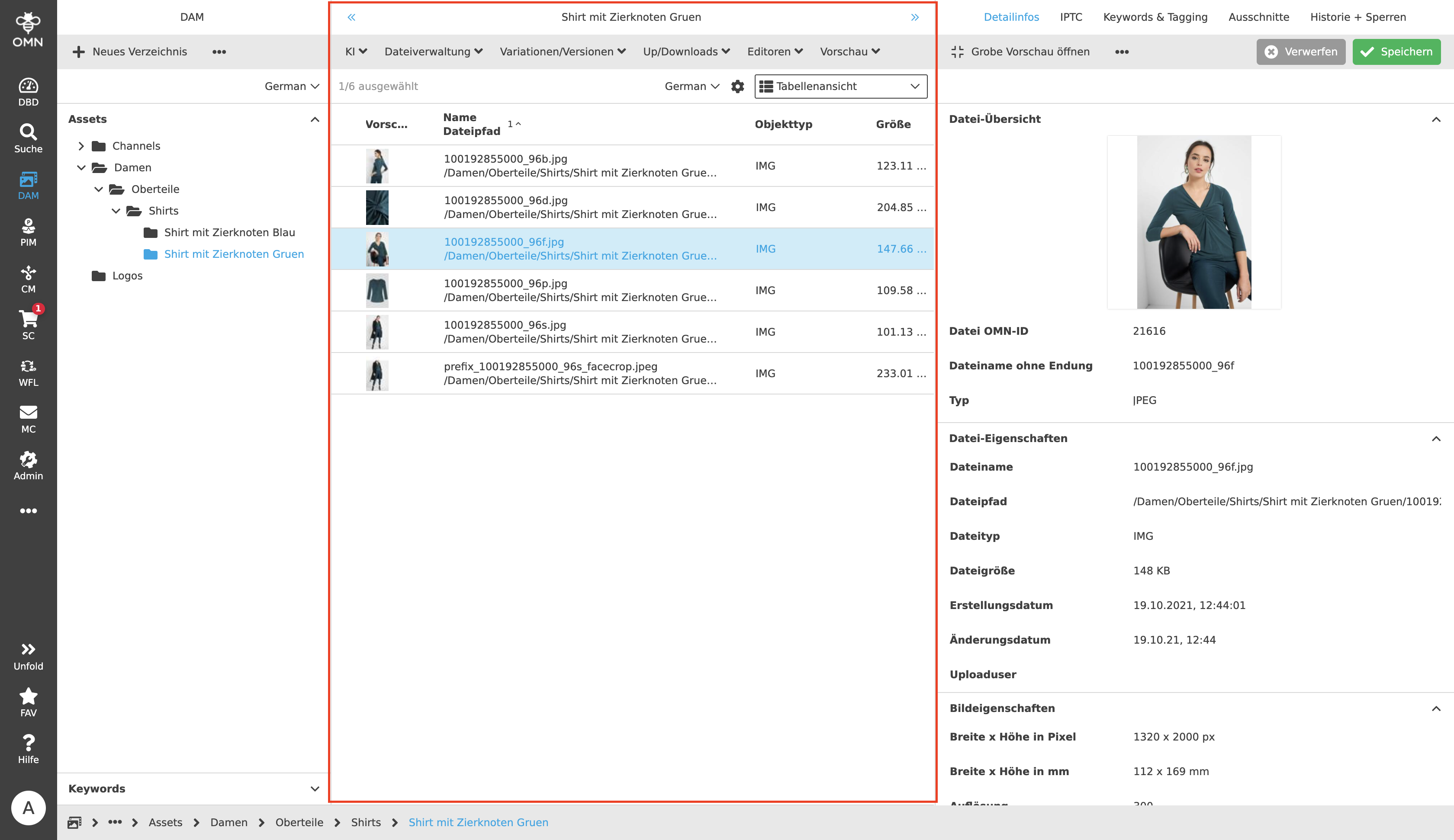MainModule DAM CenterView
